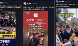 桂城媒体爆料事件视频,视频揭露惊人真相